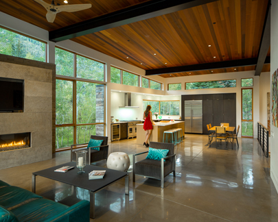 Mountain Contemporary